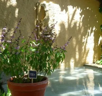 ホテル Patio Del Sol